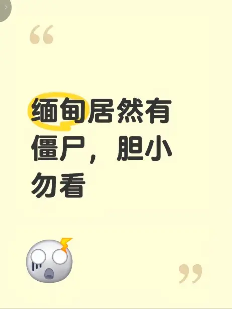 《缅甸僵尸出土事件》高清完整版在线免费播放 - 揭秘缅北神秘事件真相 - 现场全程录像揭秘