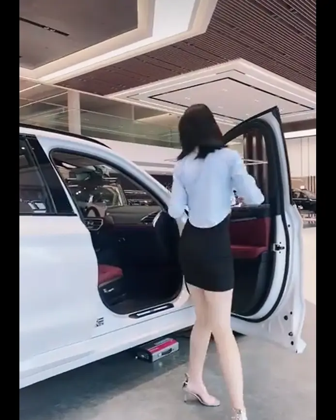 《佳木斯新玛特迪桑特女销售》相关资源图片