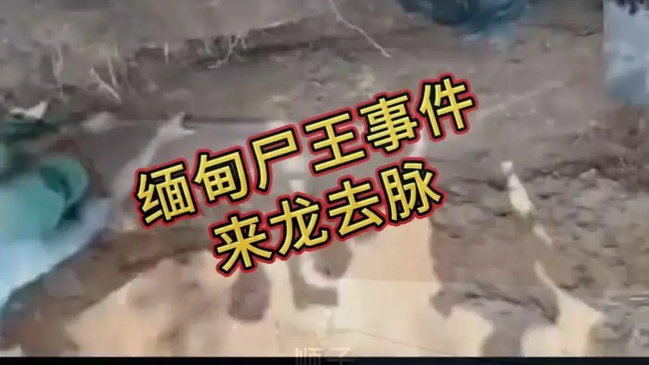 《缅甸僵尸出土事件视频》完整版资源在线观看免费播放 - 缅北僵尸出土事件始末原视频高清下载超清未删减全程录像