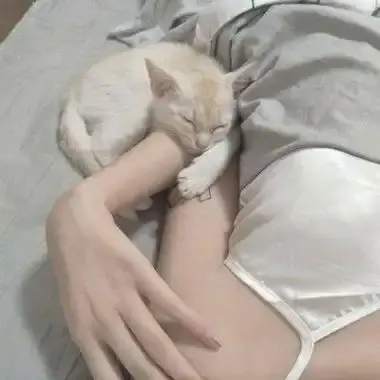 森泽佳奈高清全集未删减中文配音在线观看-1080P蓝光无水印网盘资源免费看